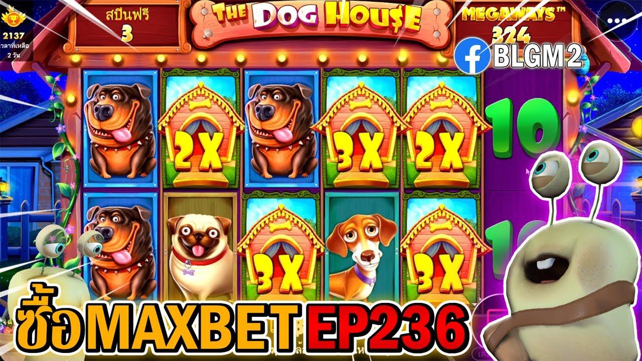 Khám phá thế giới Book of Wolves cùng các tính năng hấp dẫn của Book of Wolves