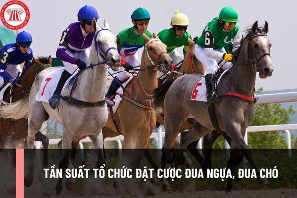 Khám phá trải nghiệm cá cược hấp dẫn tại online casino bg uy tín